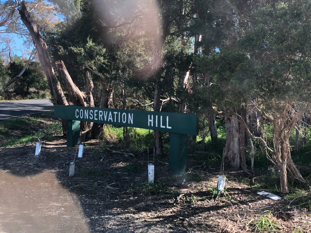 Conservation Hill Reserve景点图片