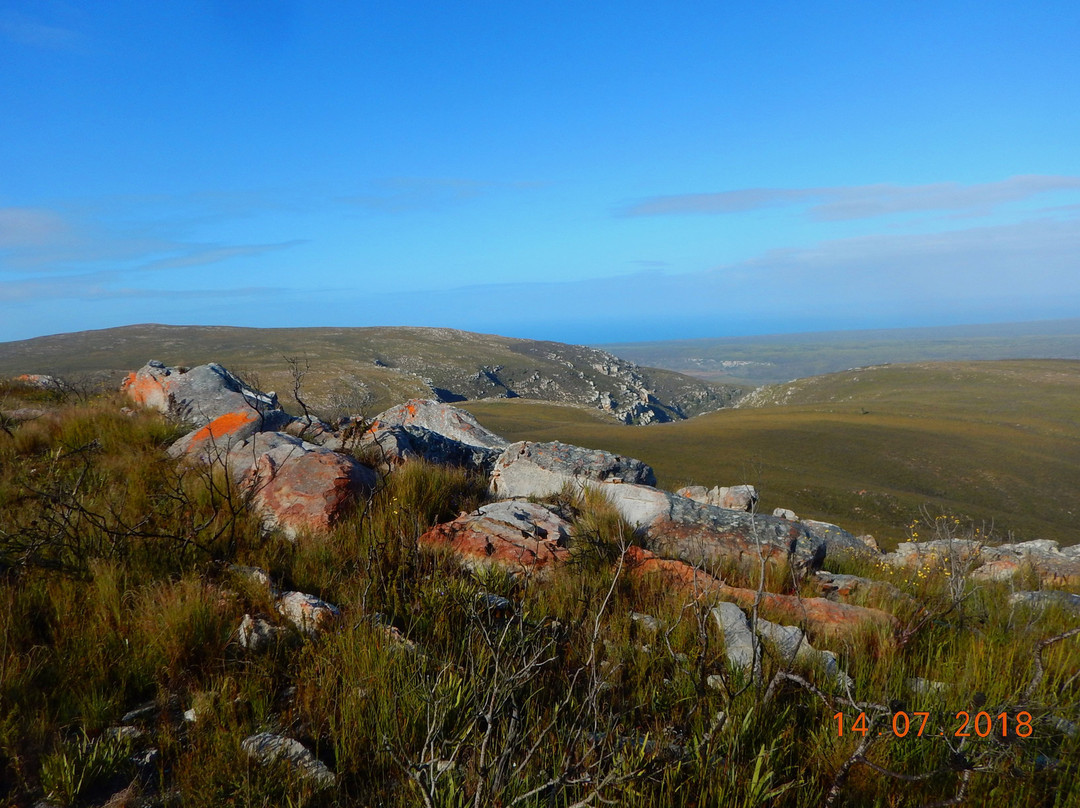 De Hoop Whale Trail-Bredasdorp必去景点