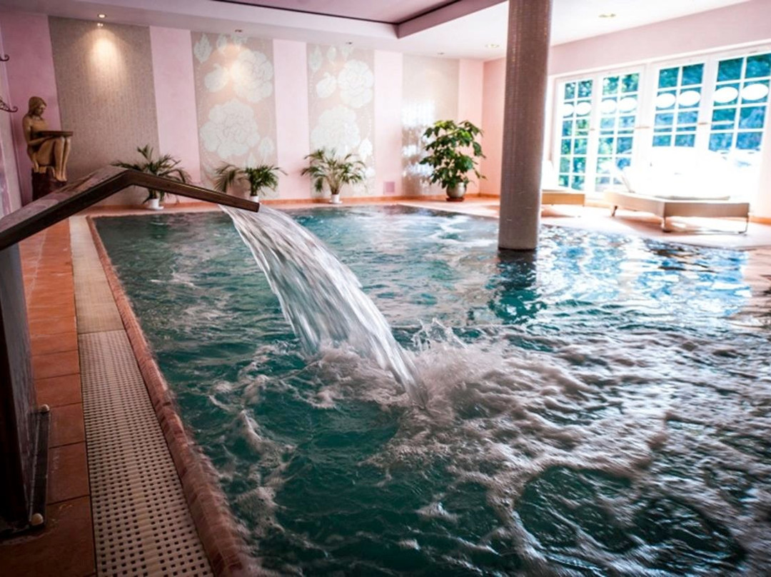 Mscice酒店住宿-Willa Alexander Resort & SPA