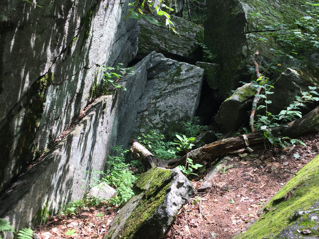 Molly Stark State Park-Marlboro必去景点