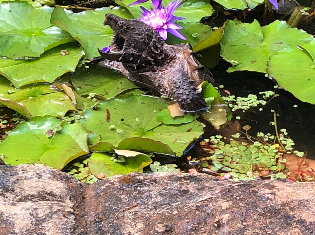 Jardin Exótico Kamala-佩雷拉必去景点