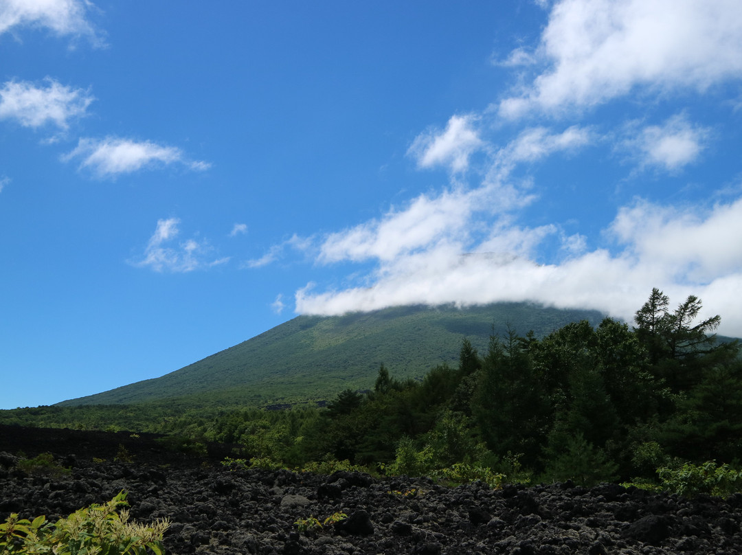 Mt. Iwate Yakehashiri Lava Flow景点图片