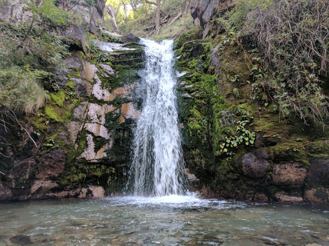 El Maiten旅游攻略图片