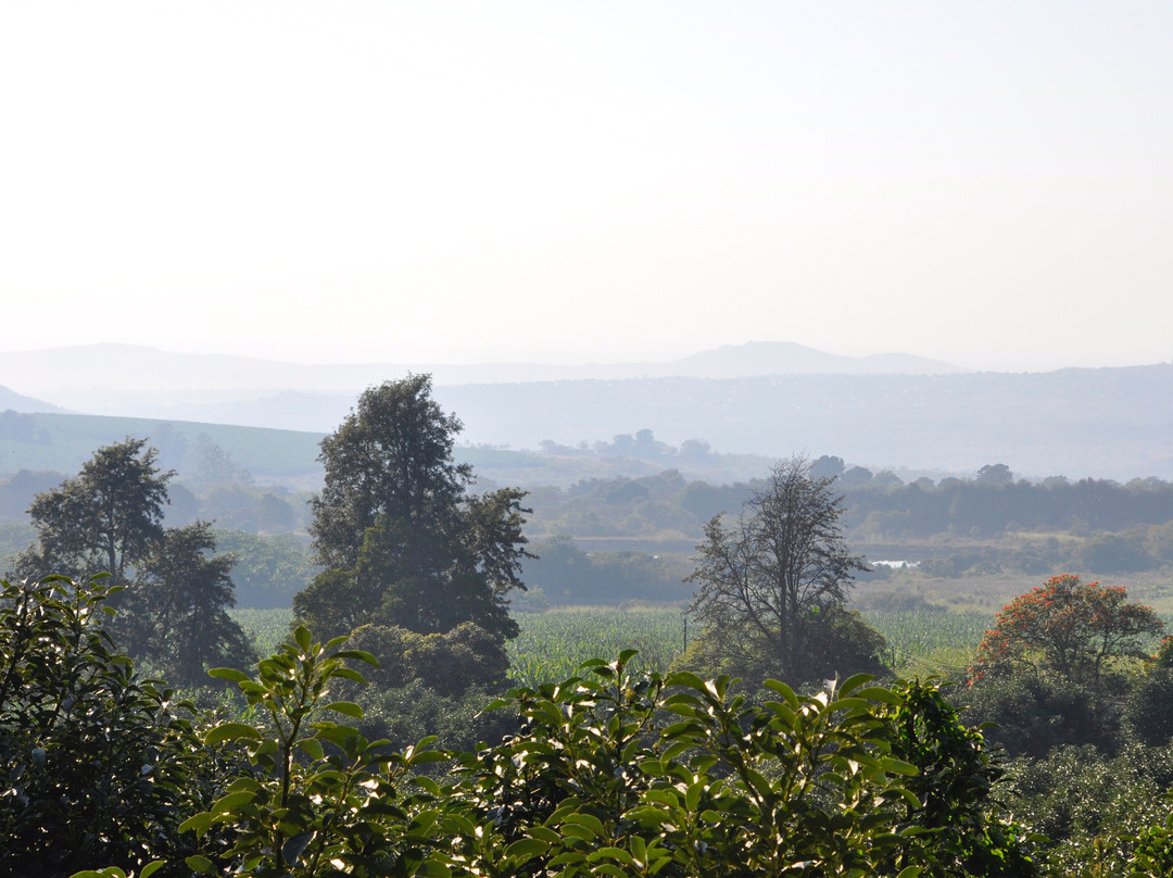 Plumbago Guest House主图