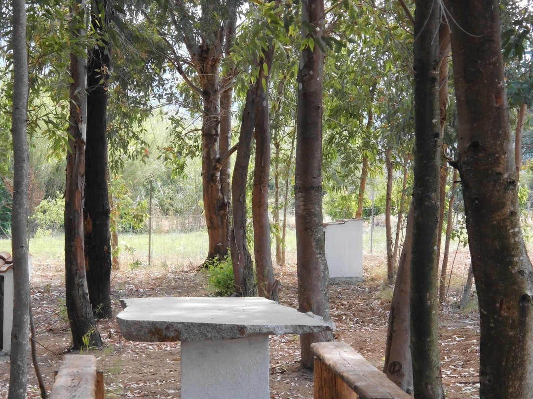 Agriturismo Munduge主图