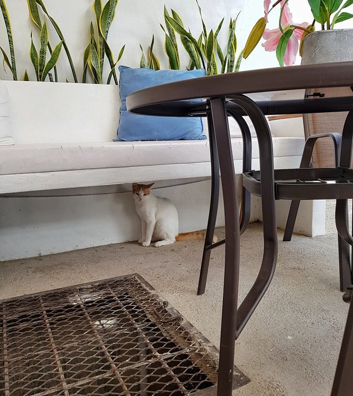 Casssa Vlanca Hotel主图