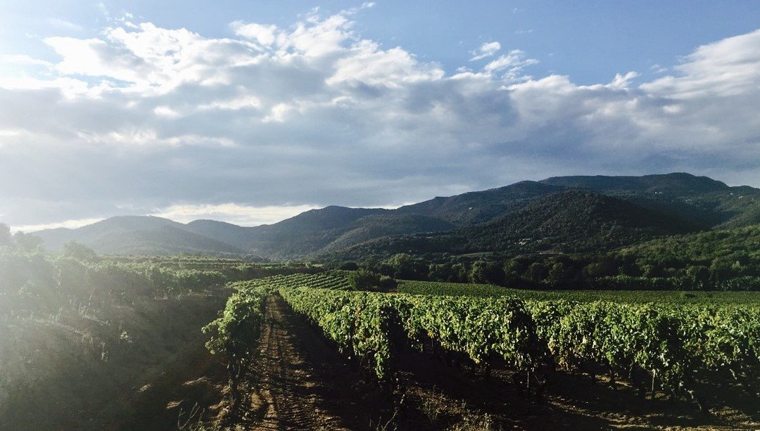 Domaine de la Giscle