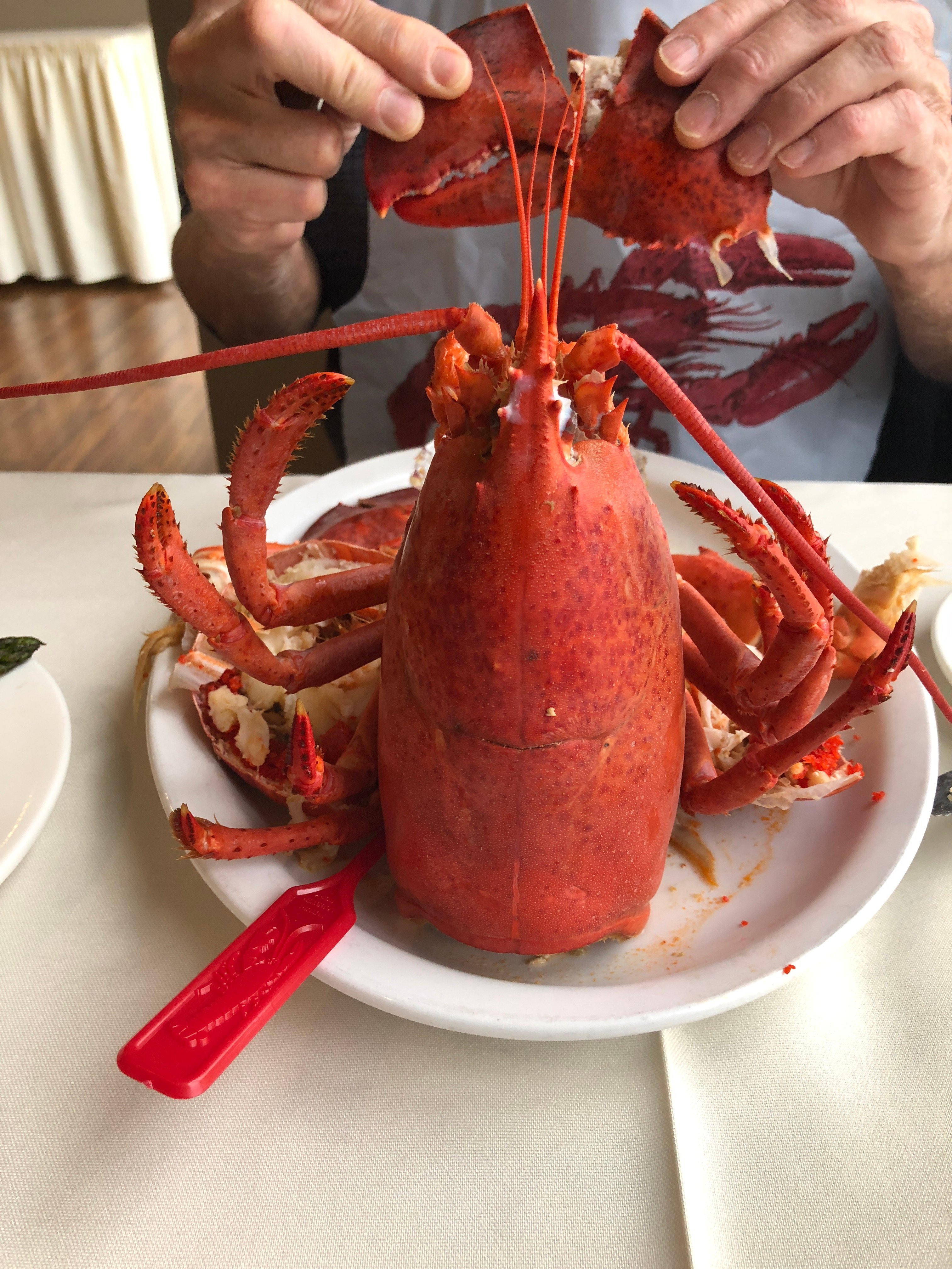 The Wilds at Salmonier River Hotel Rooms & Suites-餐饮