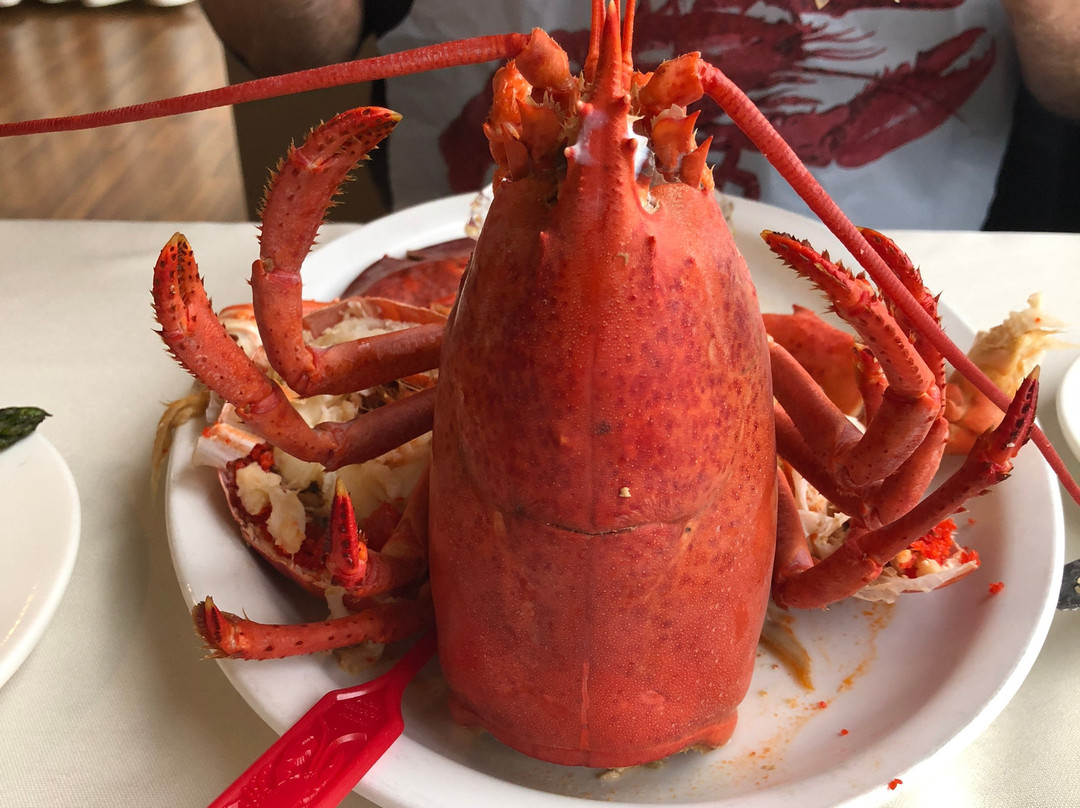 The Wilds at Salmonier River Hotel Rooms & Suites主图