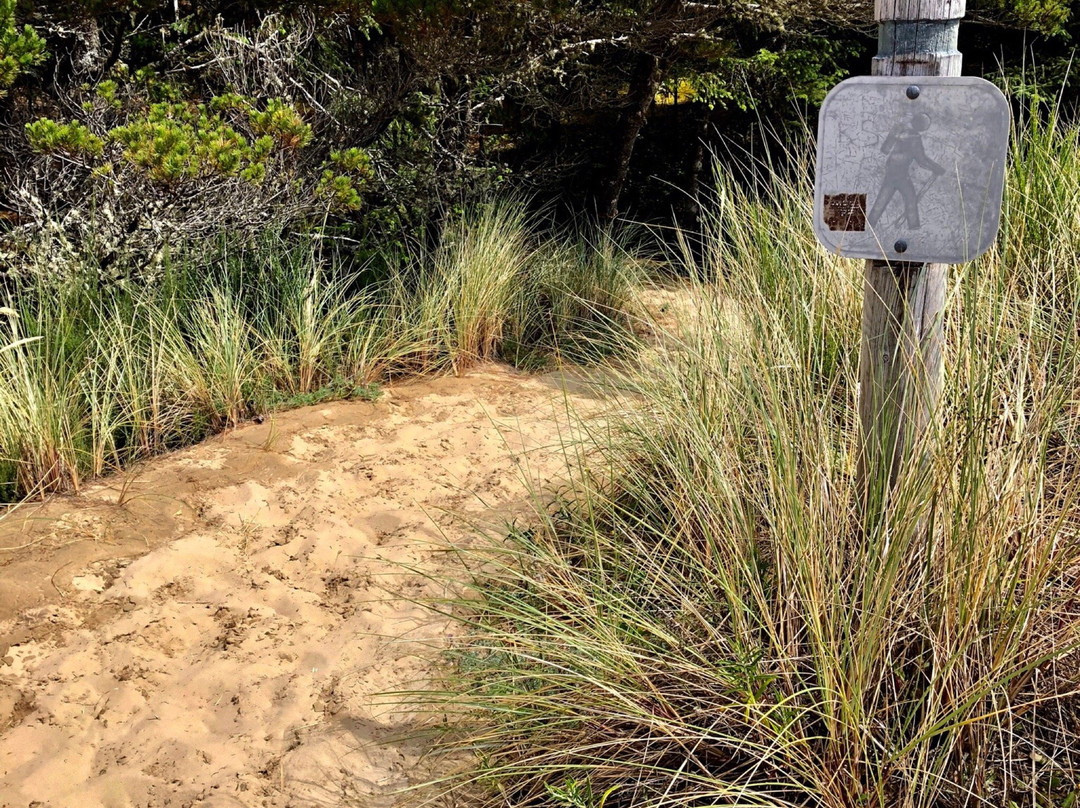 Oregon Dunes National Recreation Area景点图片