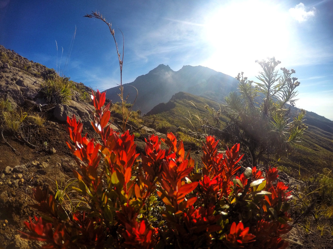 JBB Adventure-龙目岛必去景点