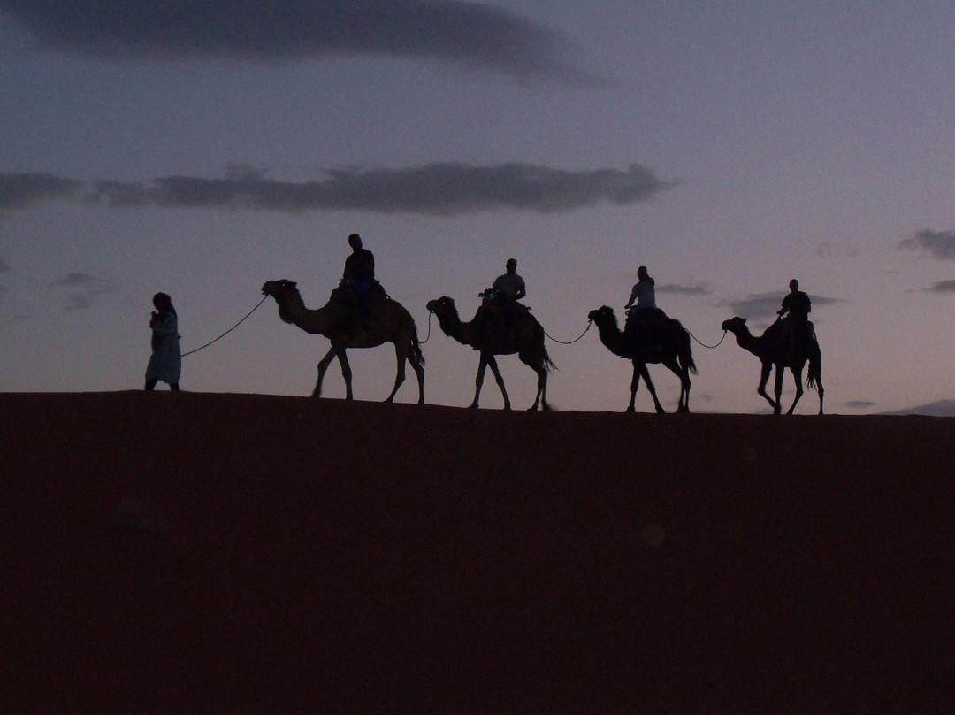 Tours in Marrakech-马拉喀什必去景点