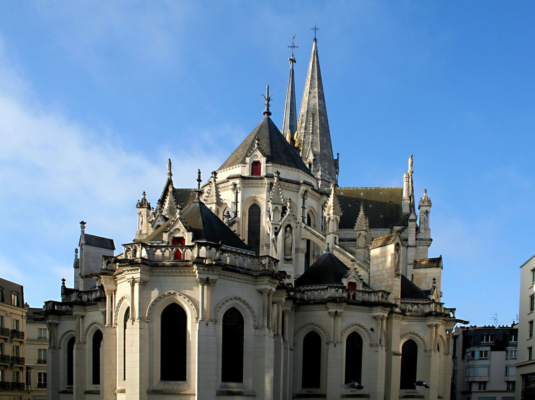 Basilique Saint Nicolas景点图片