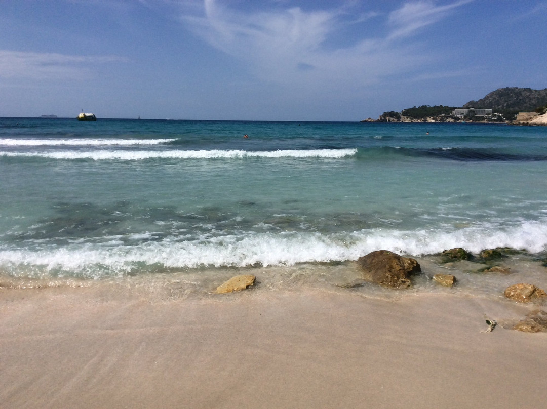 Playa Palmira景点图片