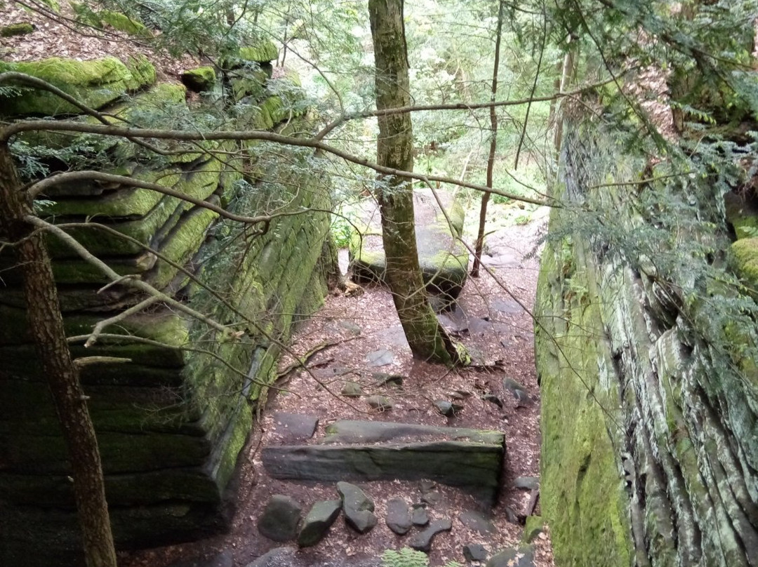 Overlook Area-阿克伦必去景点