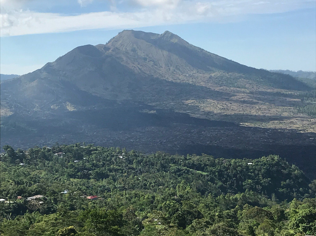 Bali Tours and Private Driver-登巴萨必去景点