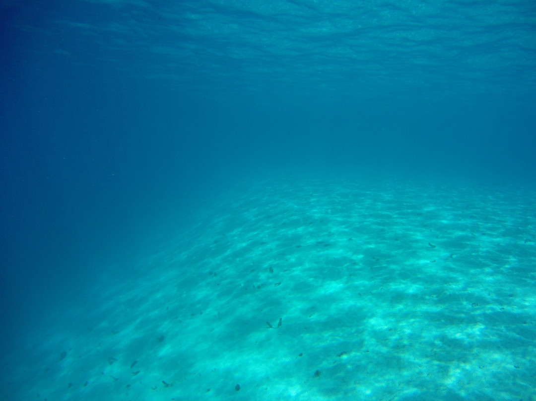 Tahiti iti Excursions景点图片