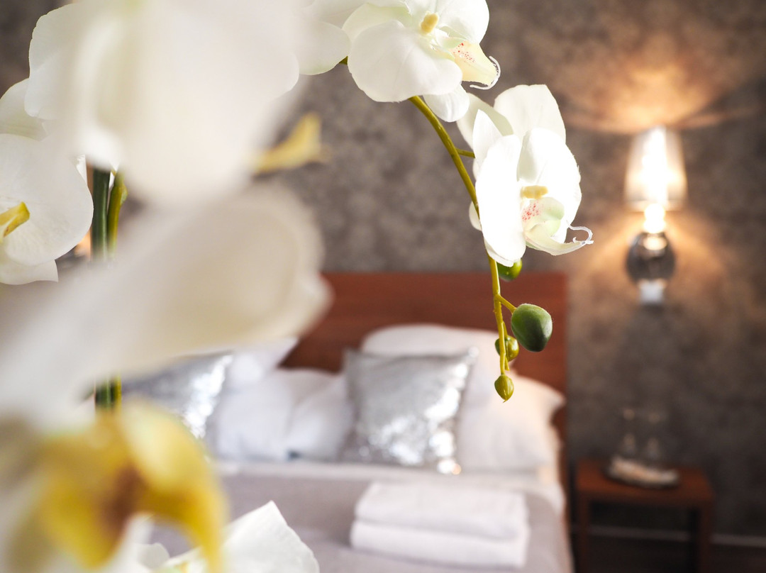 Valtice酒店住宿-Penzion Prinz