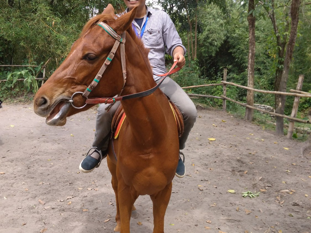 Bale Kuda Stable-Sleman District必去景点