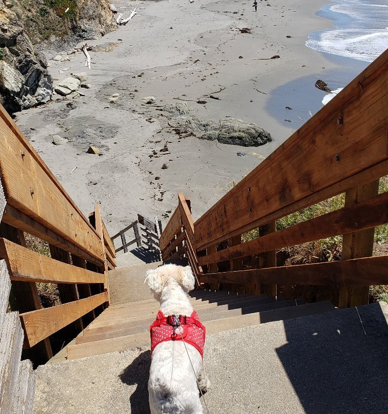 Walk On Beach Sea Ranch Access Trail-The Sea Ranch必去景点