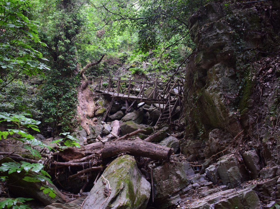 Hike Away in Pelion