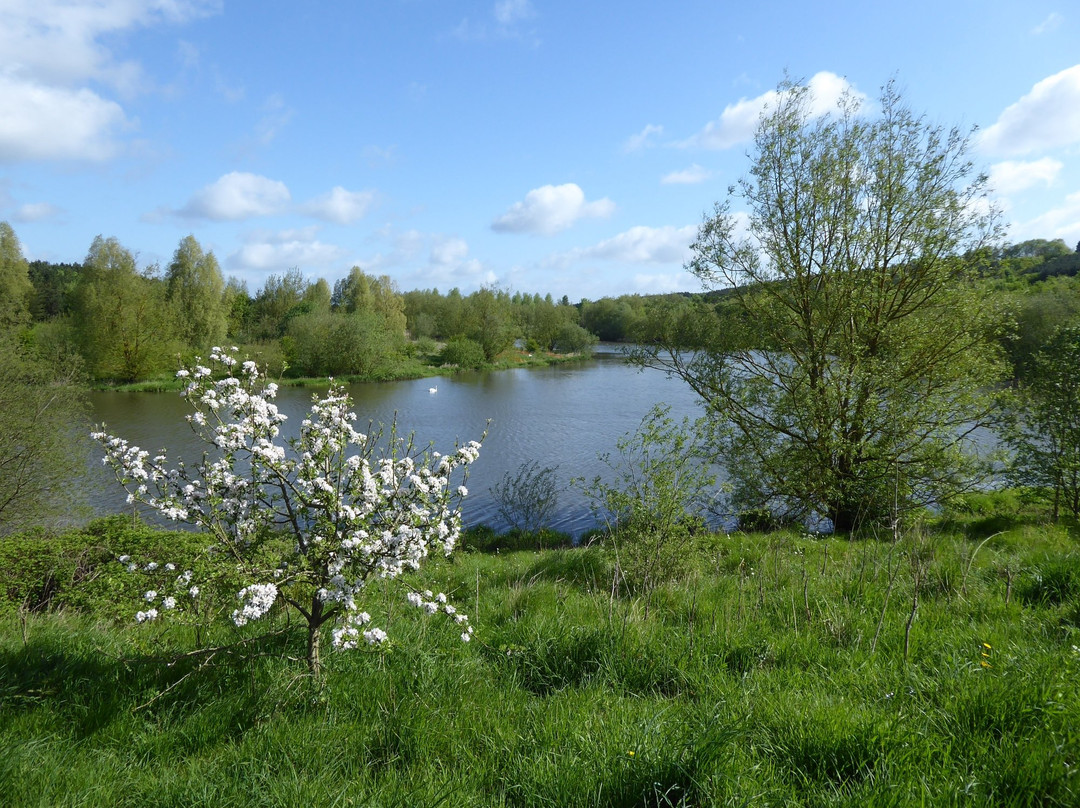 Sence Valley Country Park景点图片