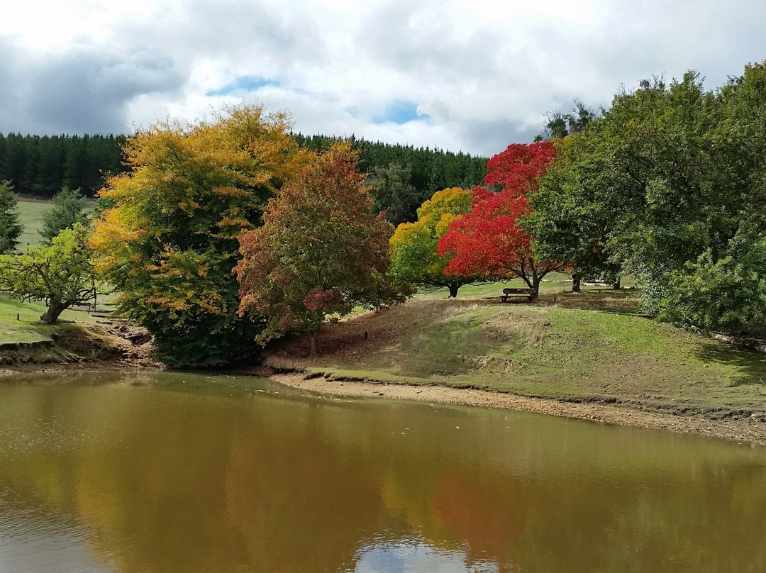 Balingup旅游攻略图片