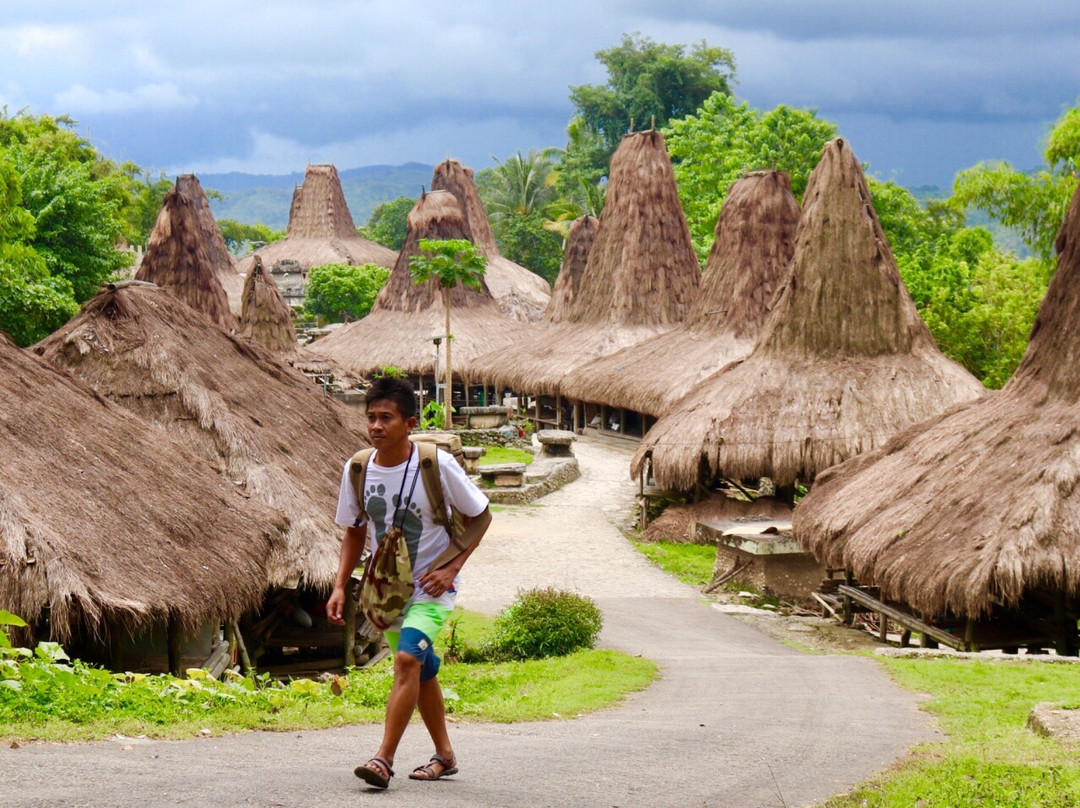 Tarung Cultural Villag景点图片