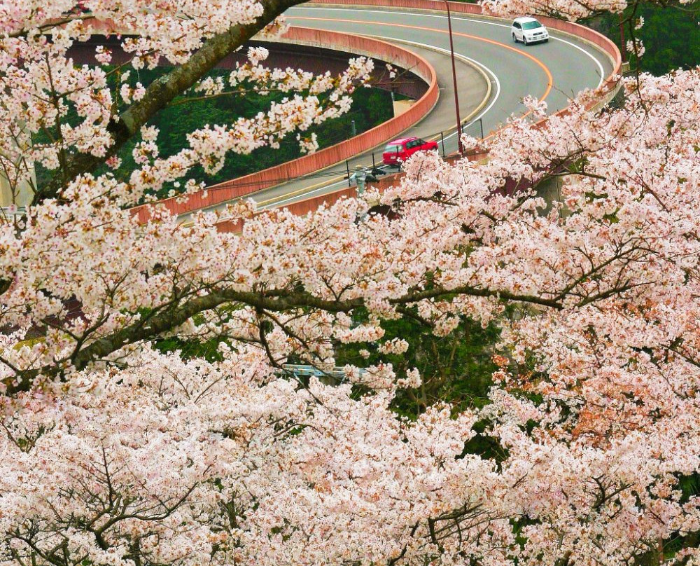 Ichifusa Dam Lake Giant Fountain景点图片