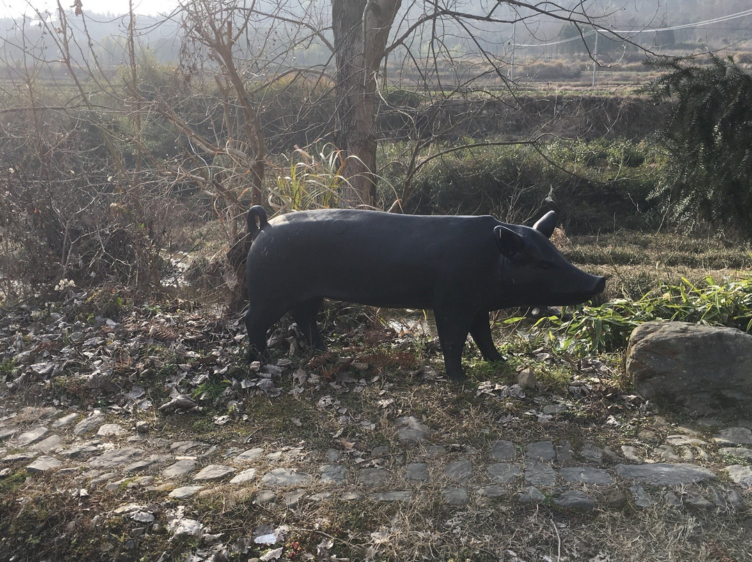黟县猪栏酒吧客栈老油厂店主图