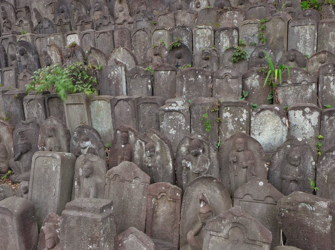 Jinko-ji Temple-文京区必去景点
