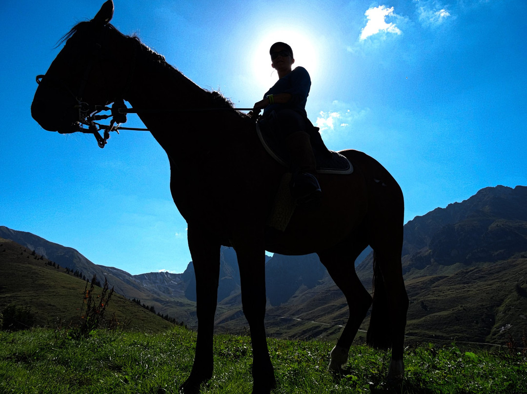Centre Equestre Le Lienz-Bareges必去景点