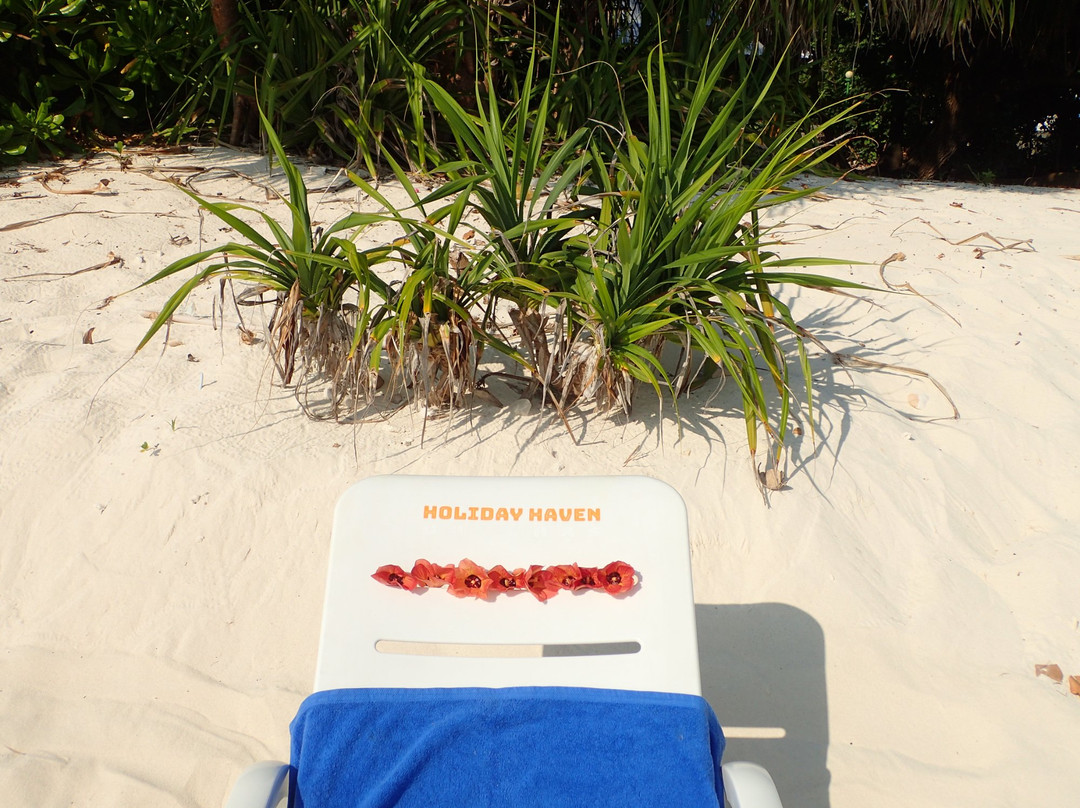 Holiday Haven Ukulhas主图