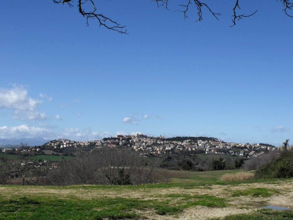 Selva di Castelfidardo景点图片