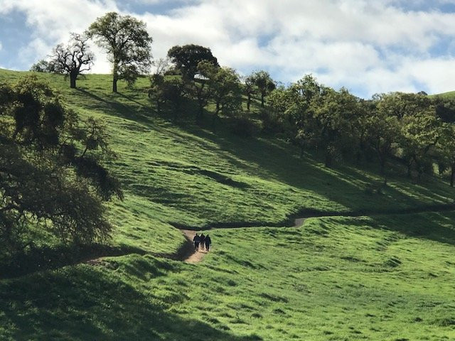 Coyote Valley Open Space Preserve-摩根希尔必去景点