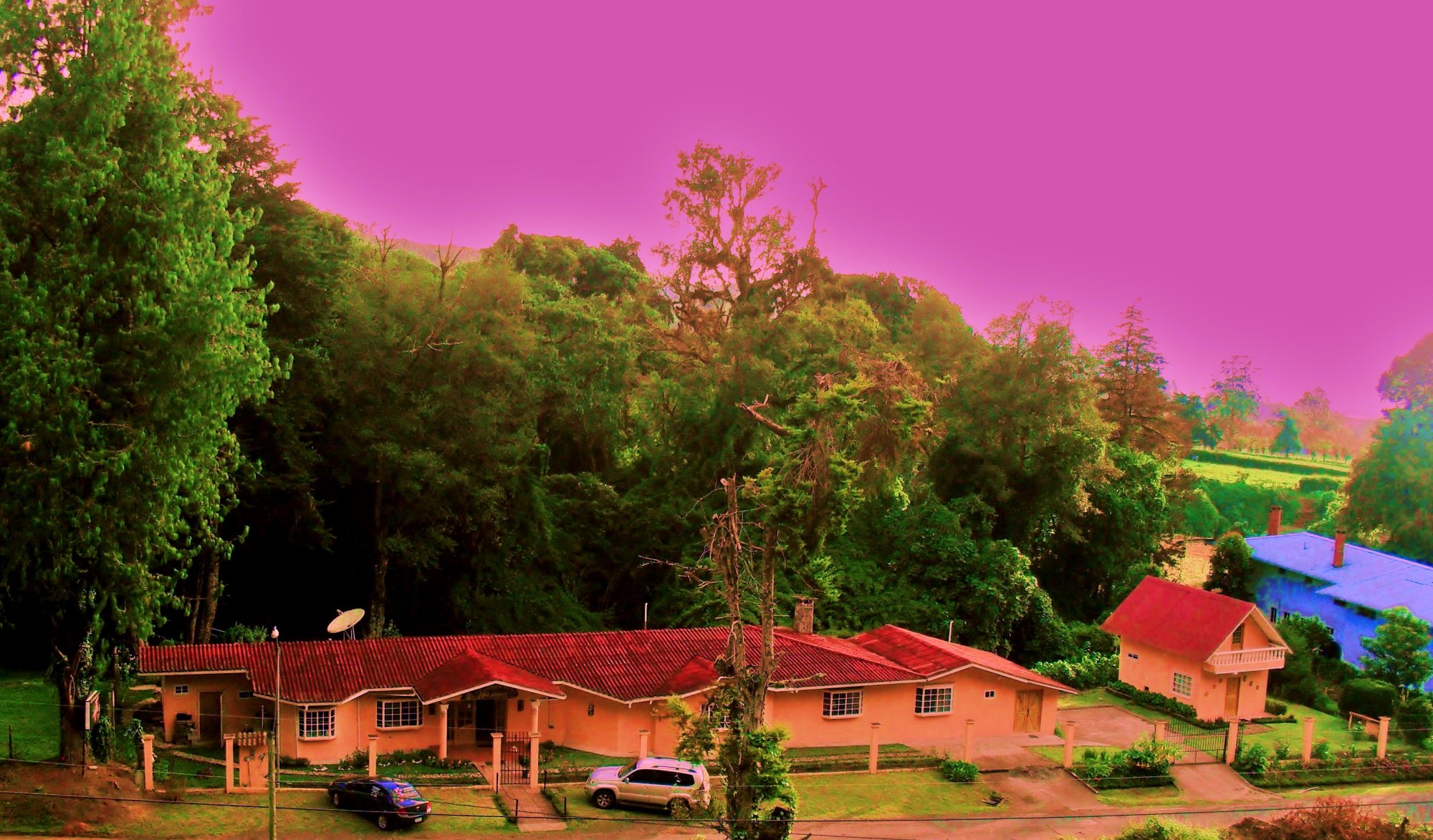 Las Orquideas Bed & Breakfast-官方