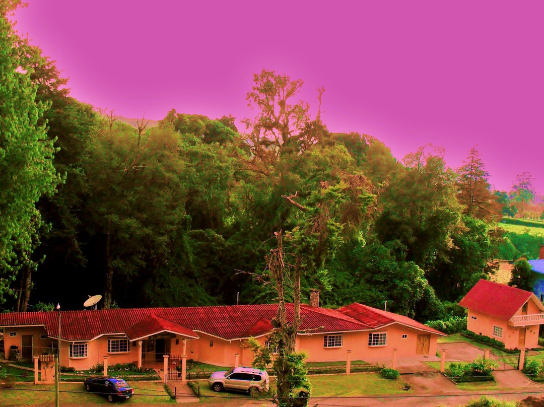 Las Orquideas Bed & Breakfast主图