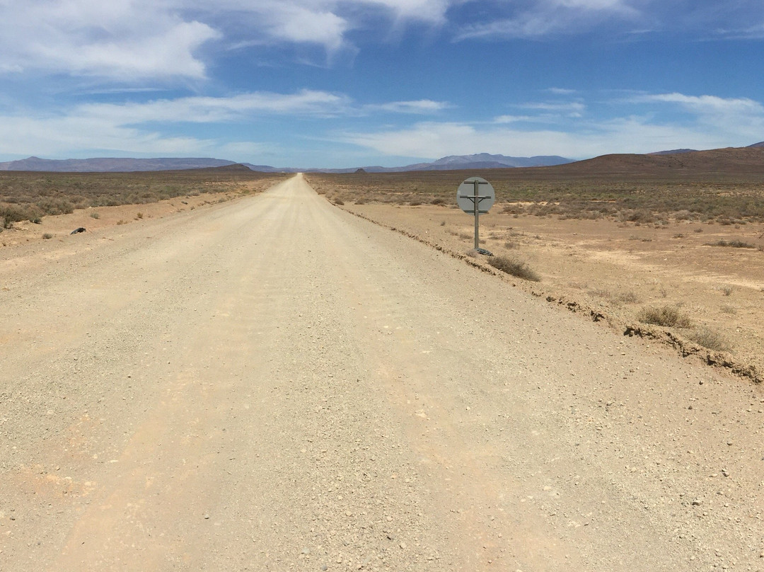 Royal Enfield Bike Tours & Rentals-开普敦中心区必去景点