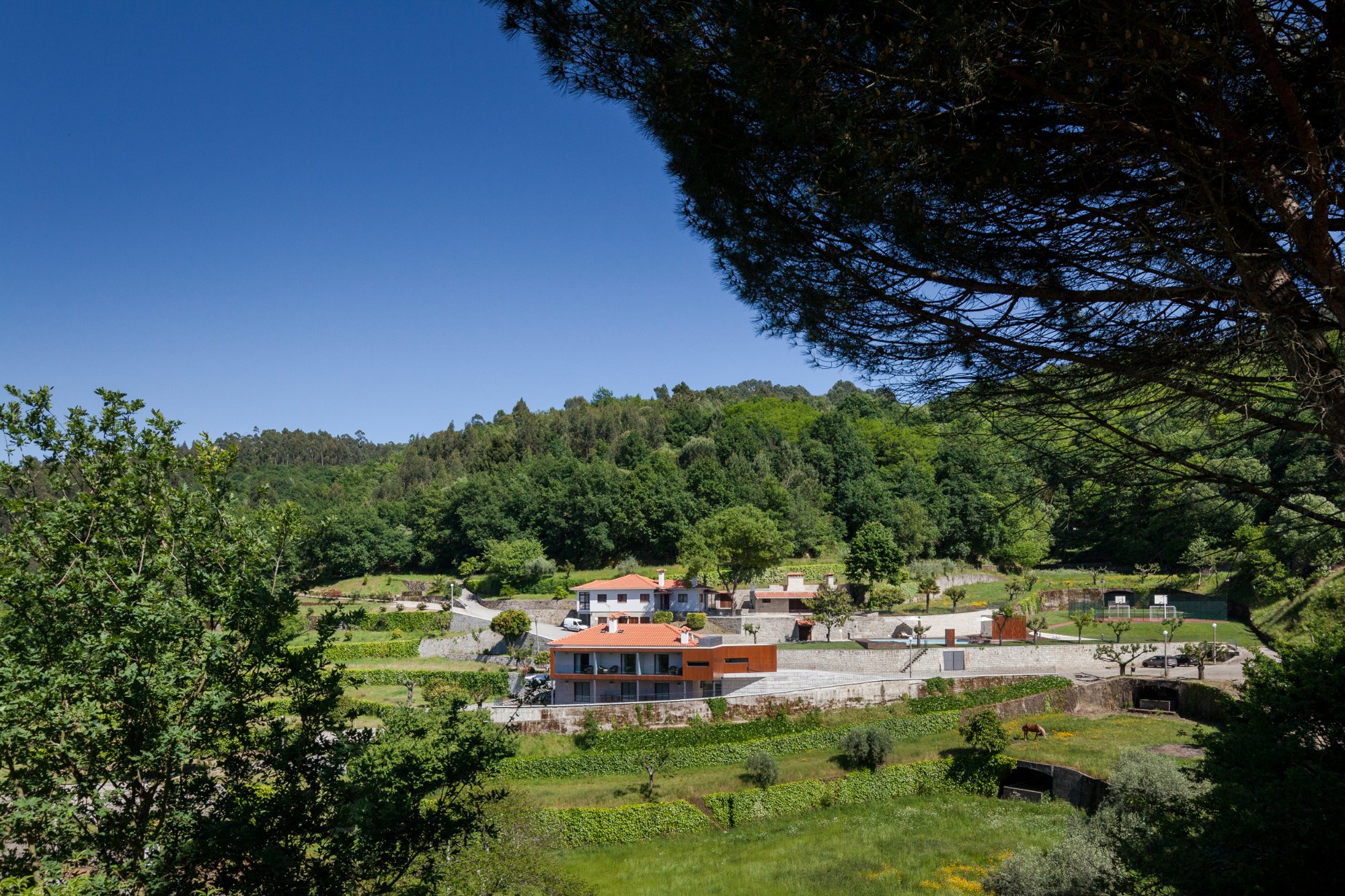 Quinta do Fontelo-官方