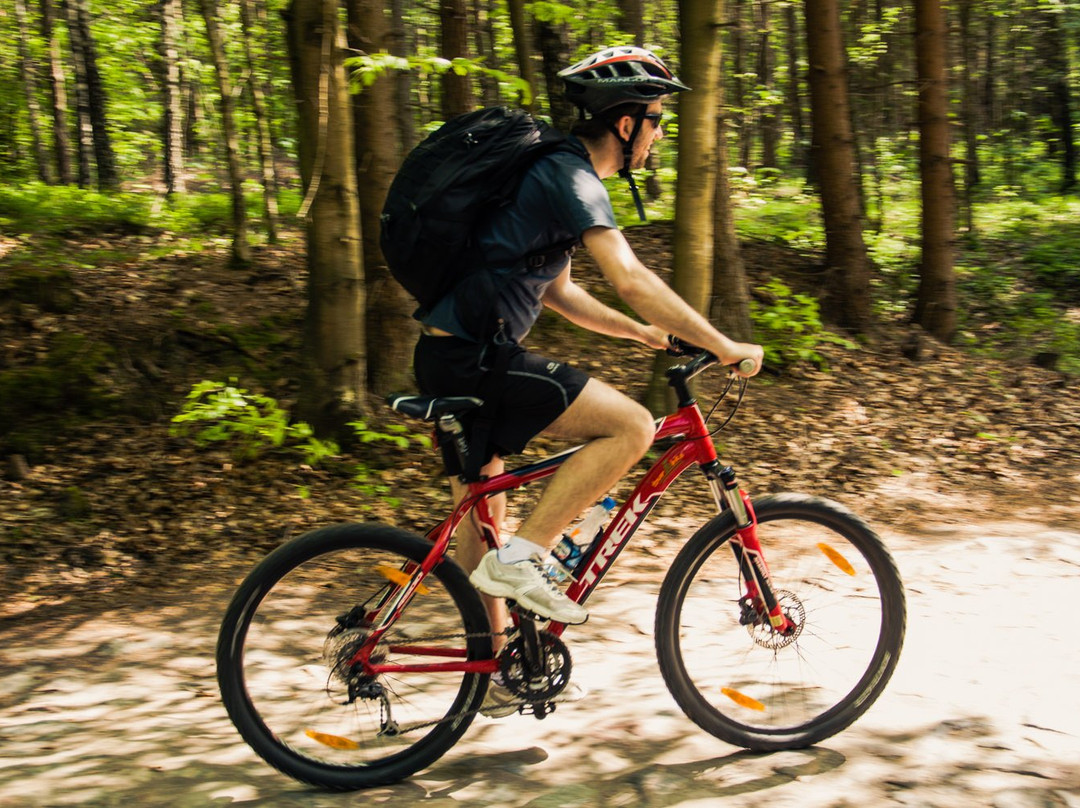 Around Gdansk Tours & Adventures-格但斯克必去景点