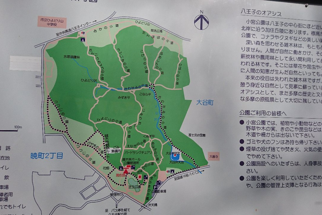 Komiya Park-八王子市必去景点