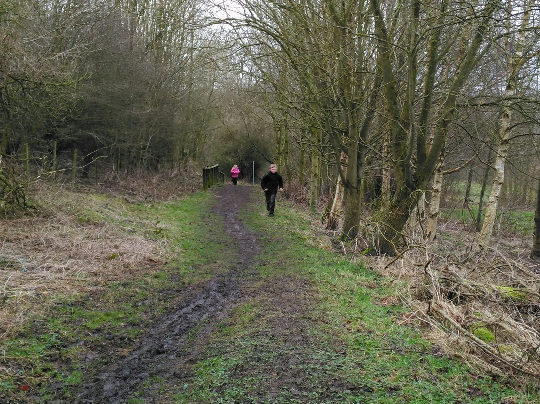 Brierley Forest Park-Sutton in Ashfield必去景点