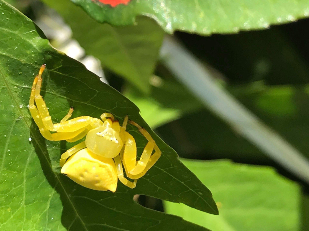 Langmorn Station-Raglan必去景点