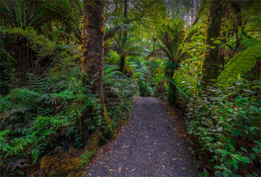 Balook旅游攻略图片