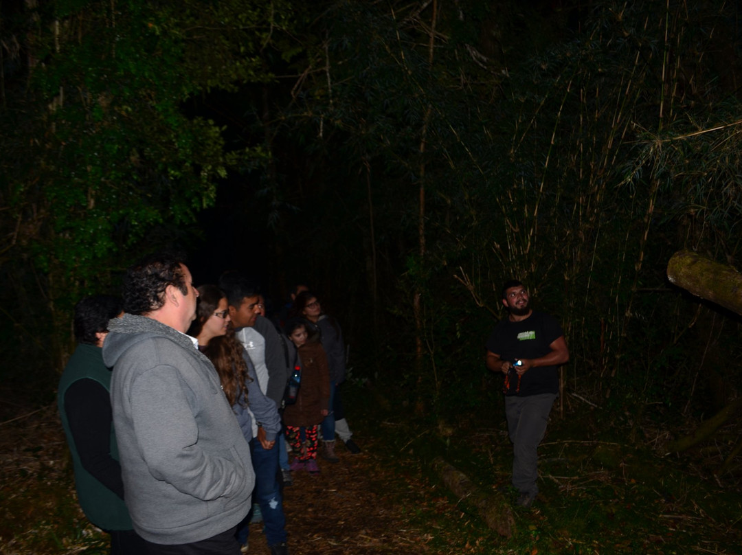 Chiloe Turismo Verde-Ancud必去景点