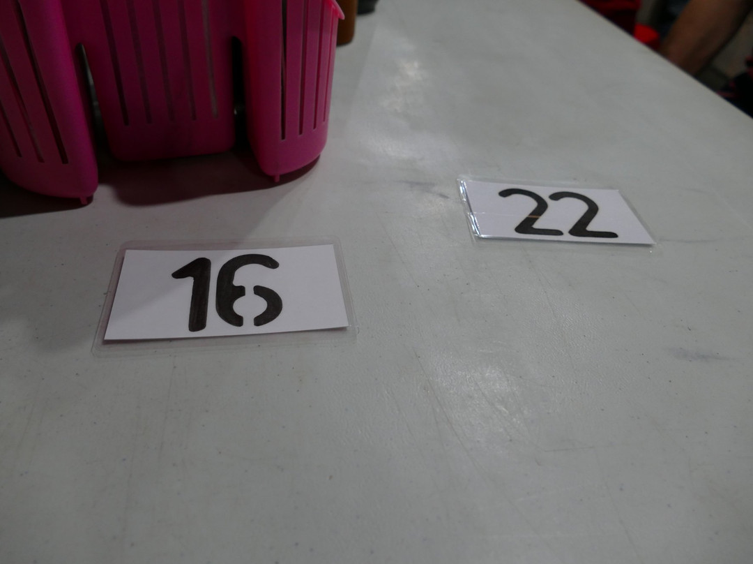 Cibadak Street Culinary-万隆必去景点