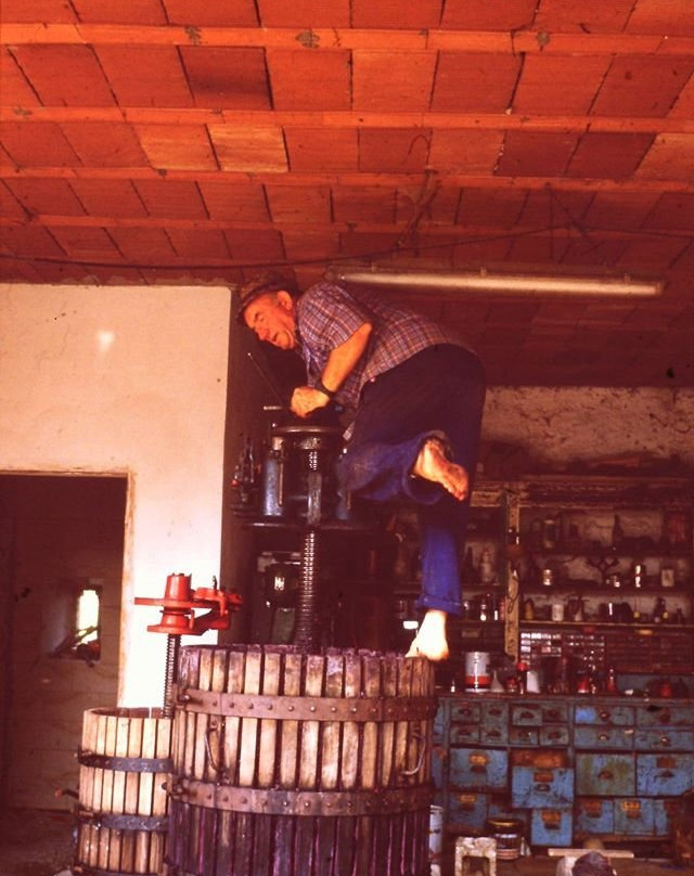 Cantina Vini Lavaroni-Buttrio必去景点