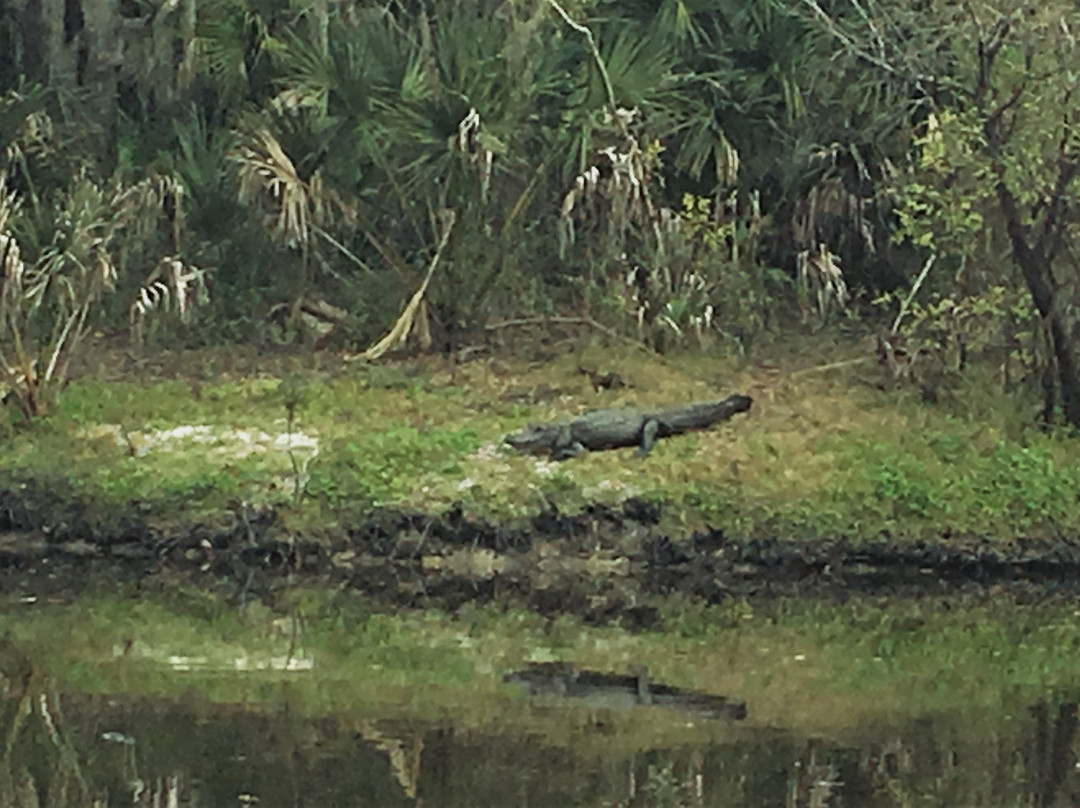 Venice Myakka River Park-Nokomis必去景点