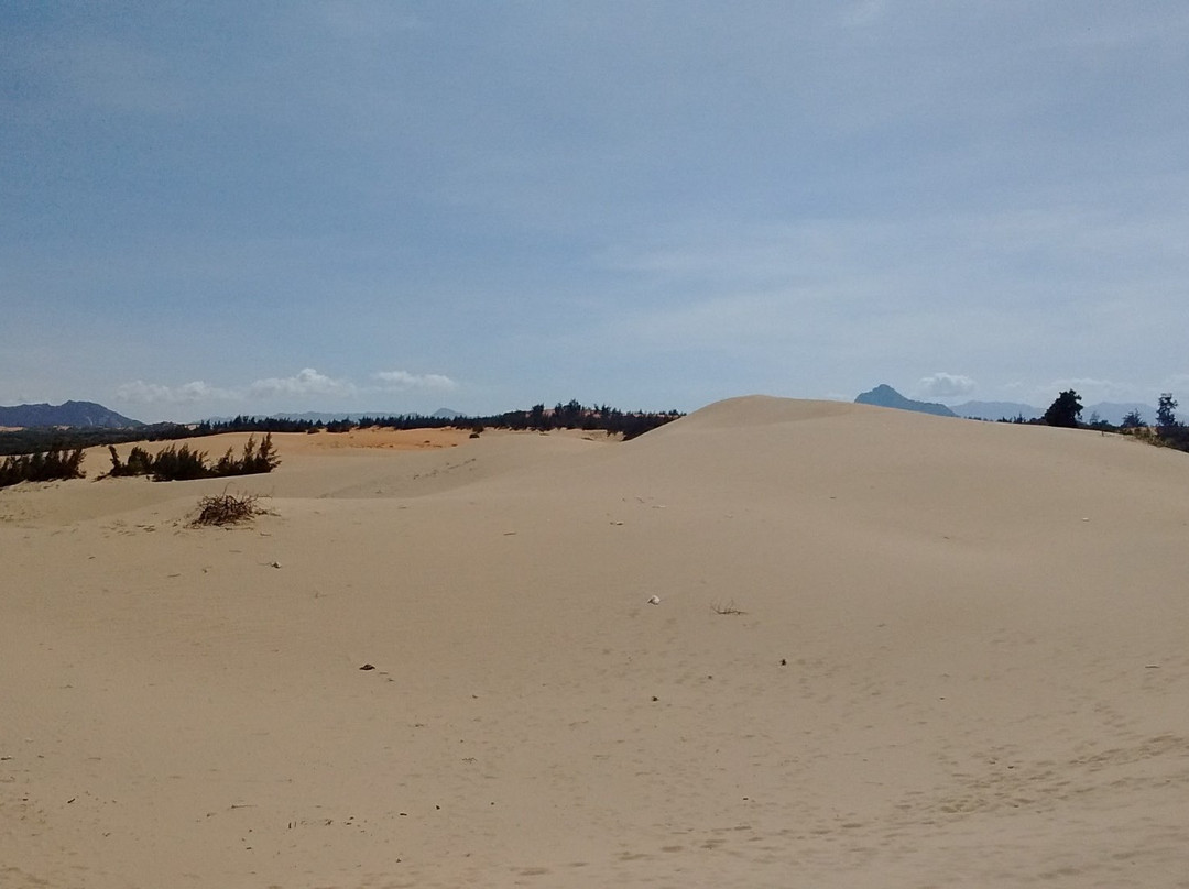 Nam Cuong Sand Dunes景点图片