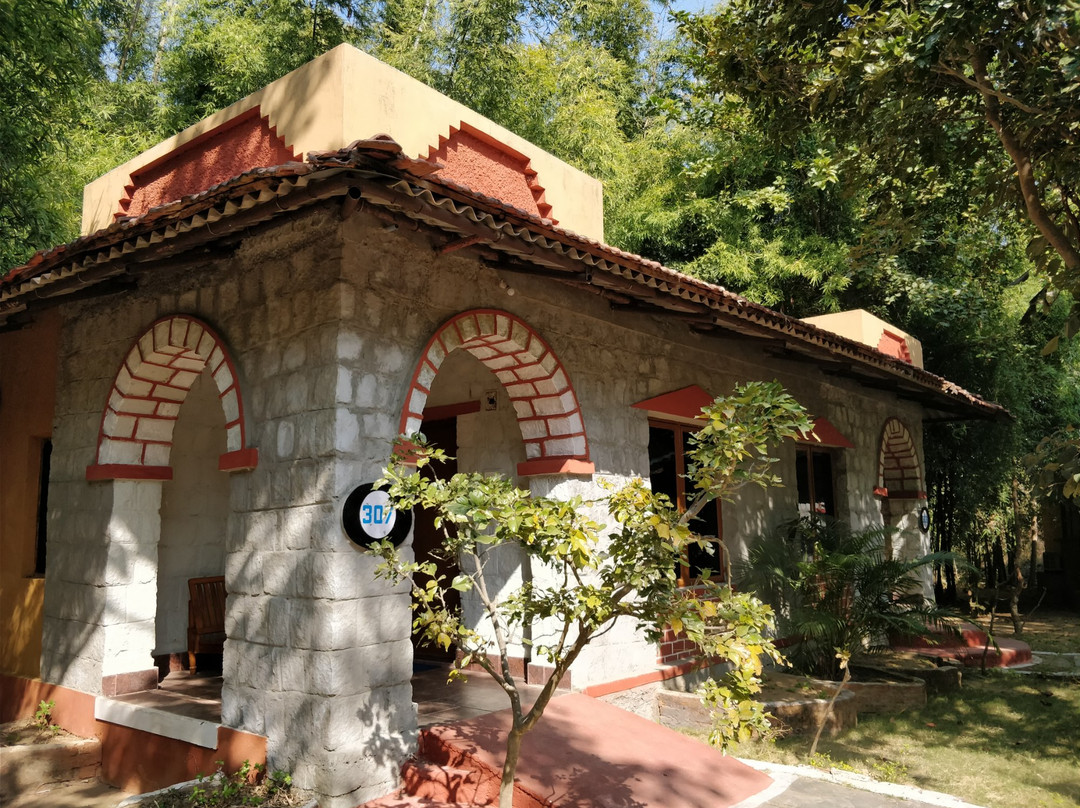 Jungle King Resort主图